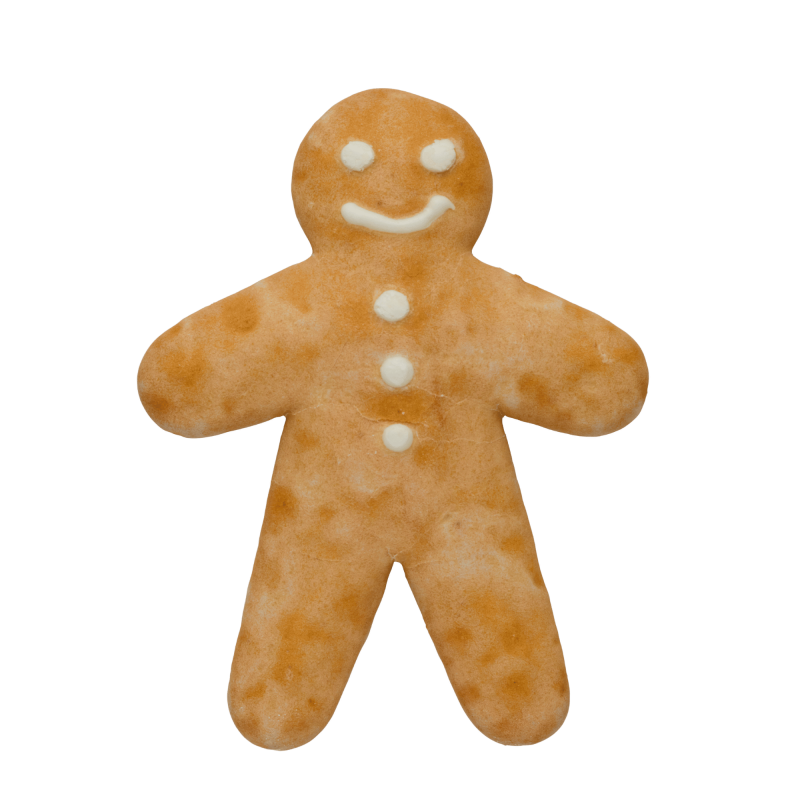 Bonhomme en pain d'épices